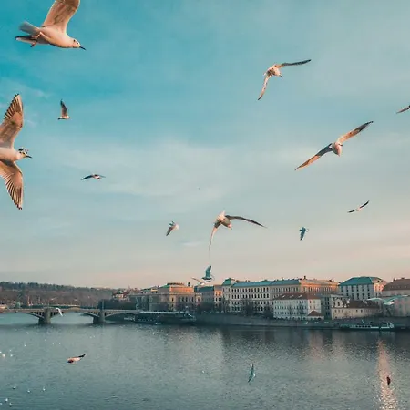 The Flawless Of Your Desired City Break
